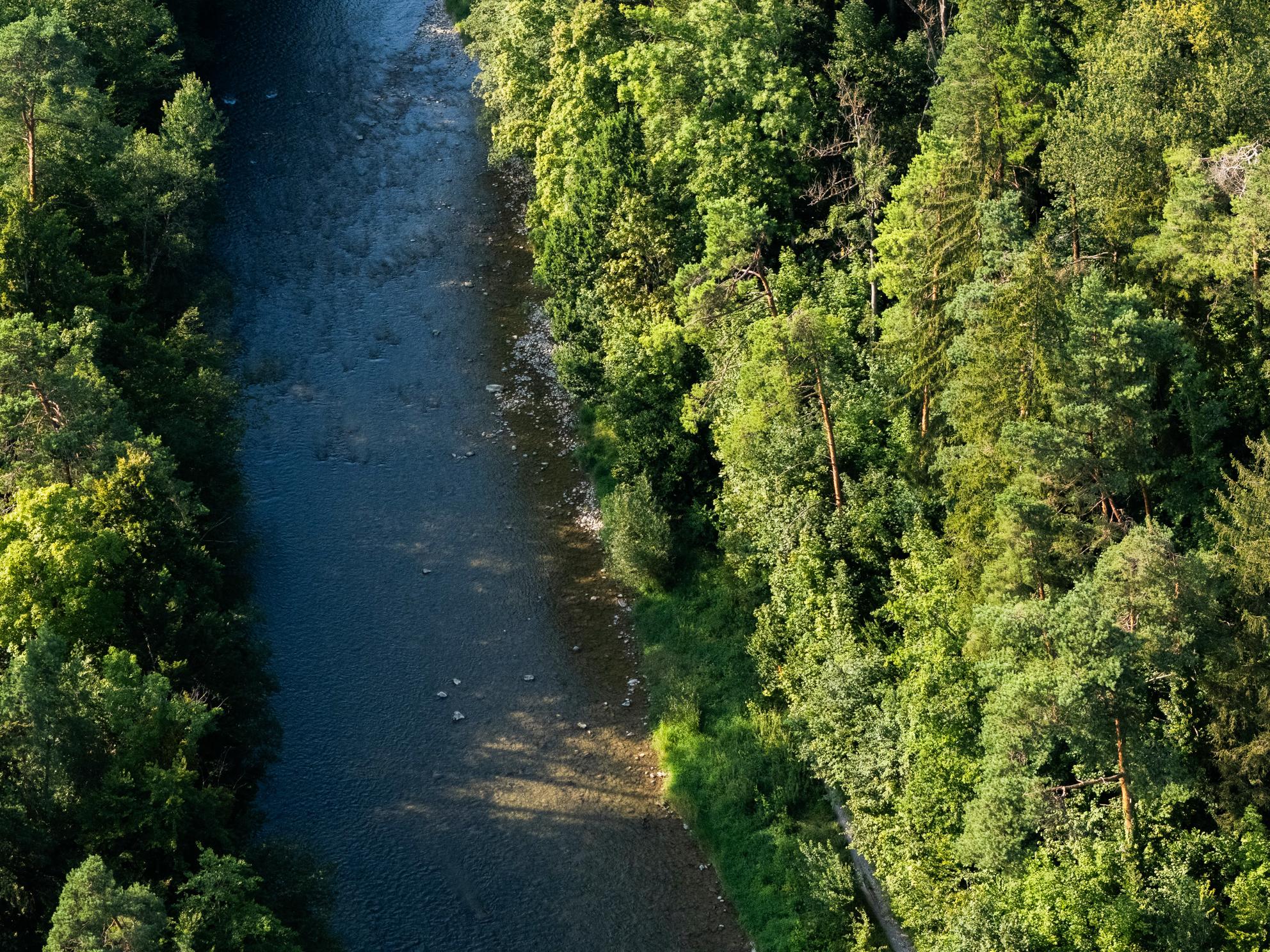 Bild von Frühlingserwachen an der Sihl: Genuss trifft Ausflugslust