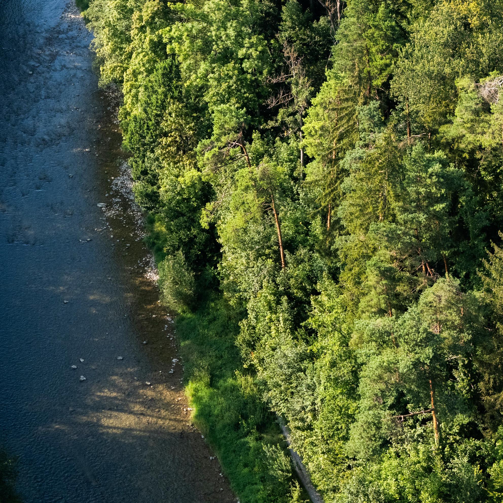 Bild von Frühlingserwachen an der Sihl: Genuss trifft Ausflugslust